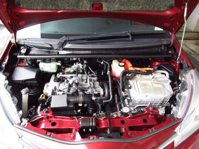 U00048528149_41_001.jpg