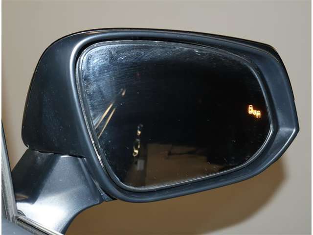 U00048358598_11_001.jpg