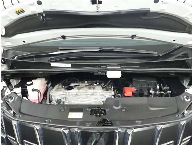 U00048533167_16_001.jpg