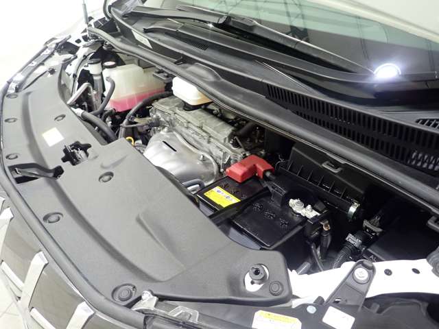U00048540836_32_001.jpg