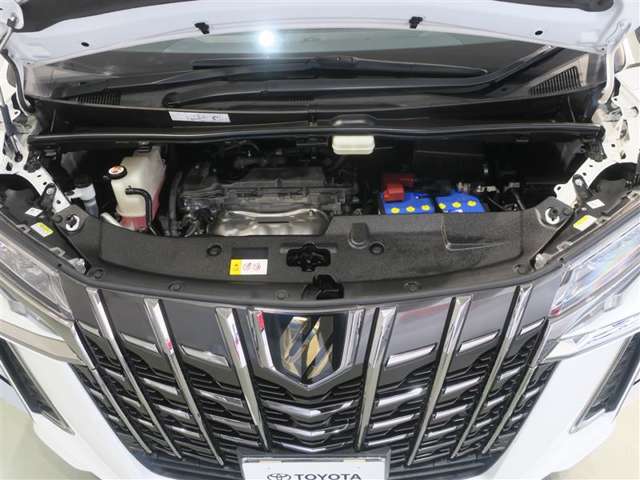 U00047725161_12_001.jpg