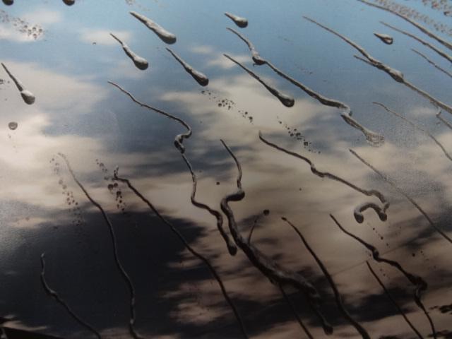 U00047571345_3_001.jpg