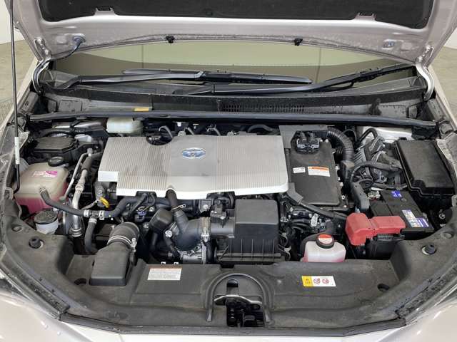UZ0048363153_51_001.jpg