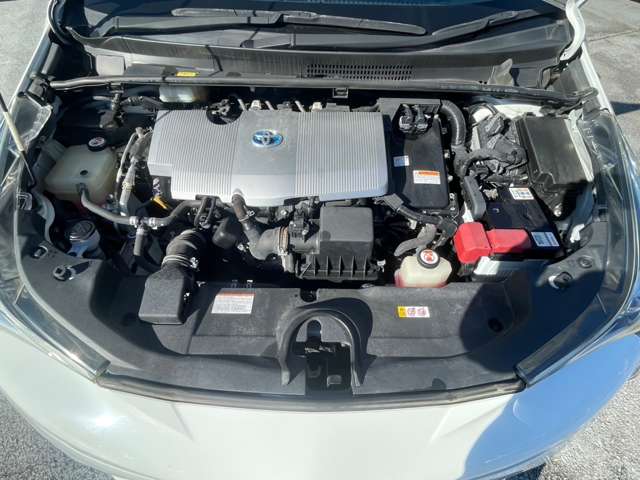 U00048432545_12_001.jpg