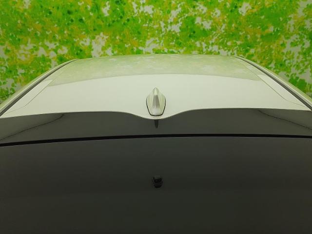 UZ0048133817_53_001.jpg
