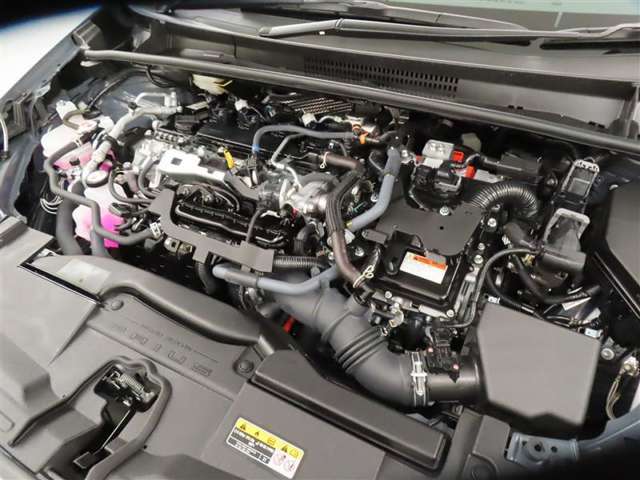 U00048322151_47_001.jpg