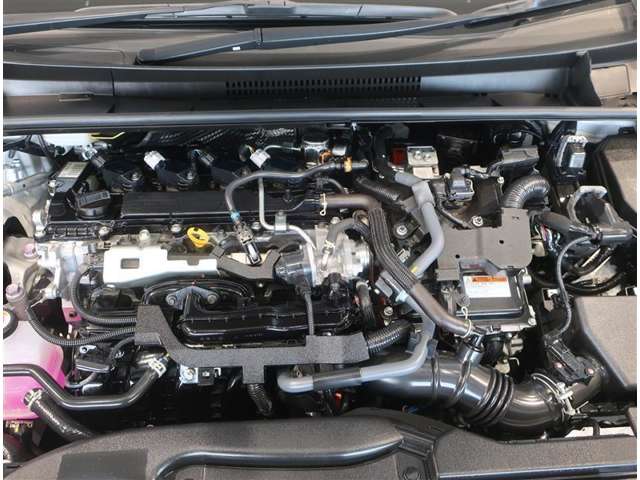 U00045993759_19_002.jpg
