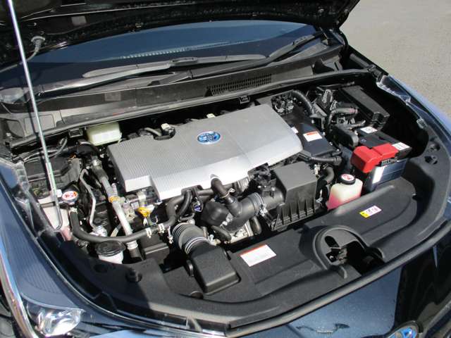 U00048172511_89_001.jpg
