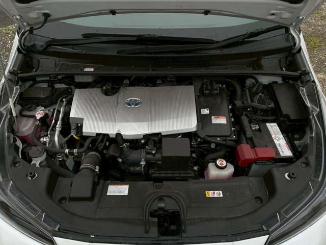 U00048515511_61_001.jpg