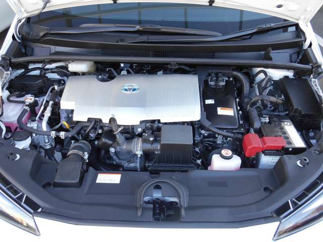 U00048100810_51_001.jpg