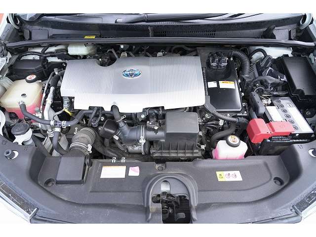 U00048285611_64_001.jpg