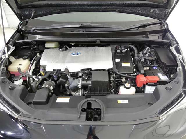 U00048560776_30_001.jpg