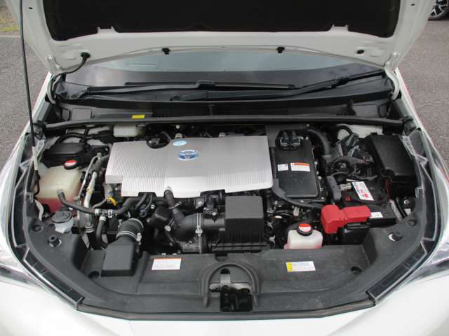 U00047447823_12_002.jpg