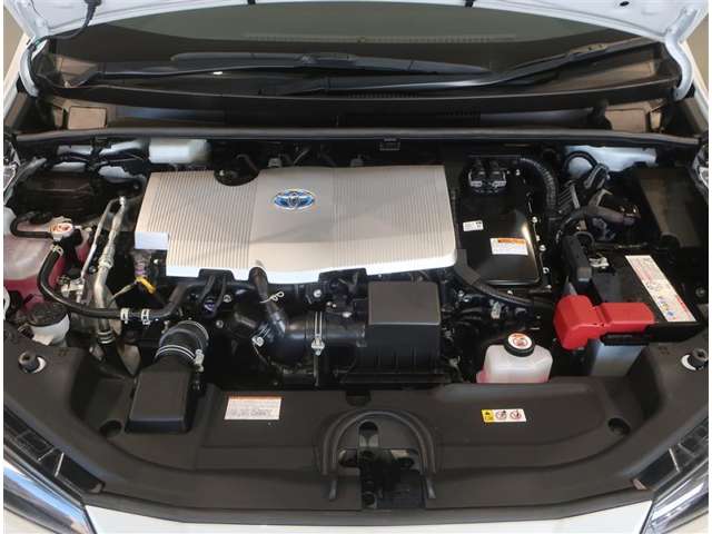 U00048438591_19_001.jpg