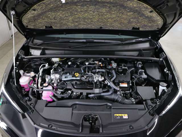 U00048365451_64_001.jpg