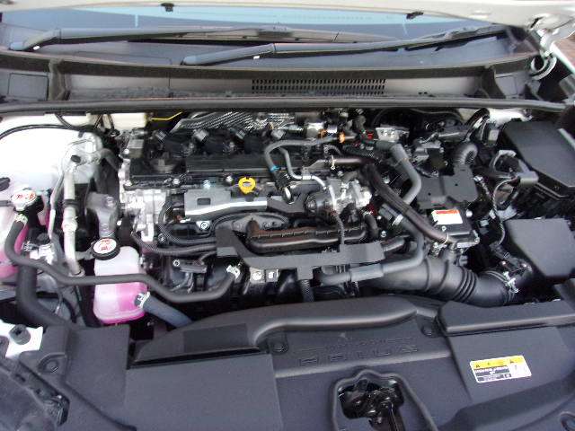 U00048142678_17_001.jpg