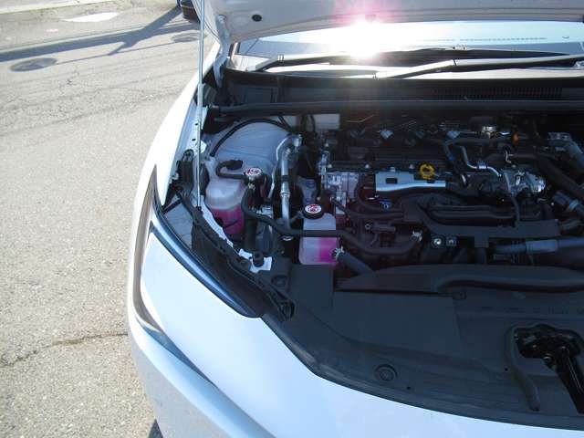 UJ0048566584_74_001.jpg