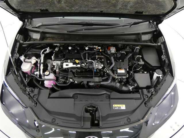 U00048350568_31_004.jpg