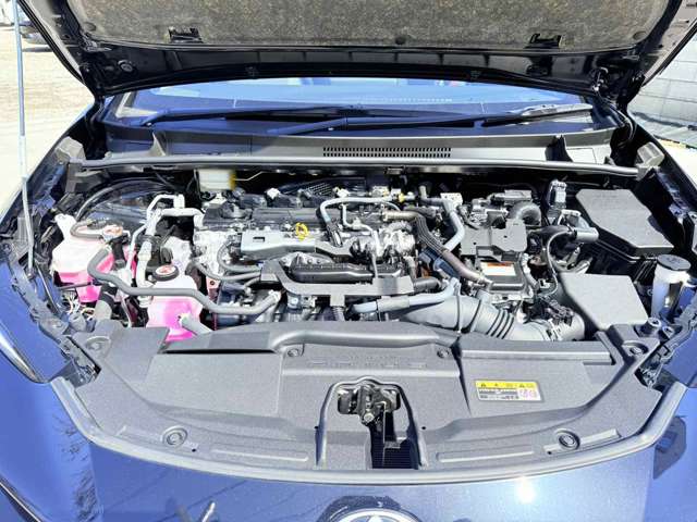 U00048222129_36_002.jpg