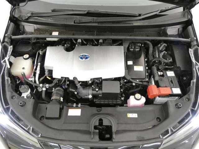 U00048350572_19_001.jpg