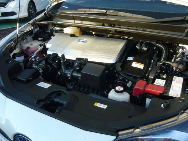 U00047717805_40_001.jpg
