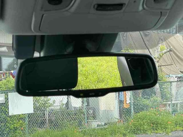 U00041660796_66_001.jpg