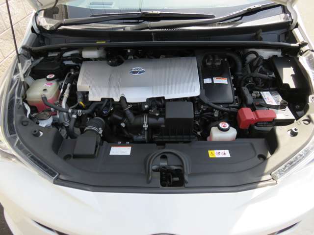 U00048458845_14_001.jpg