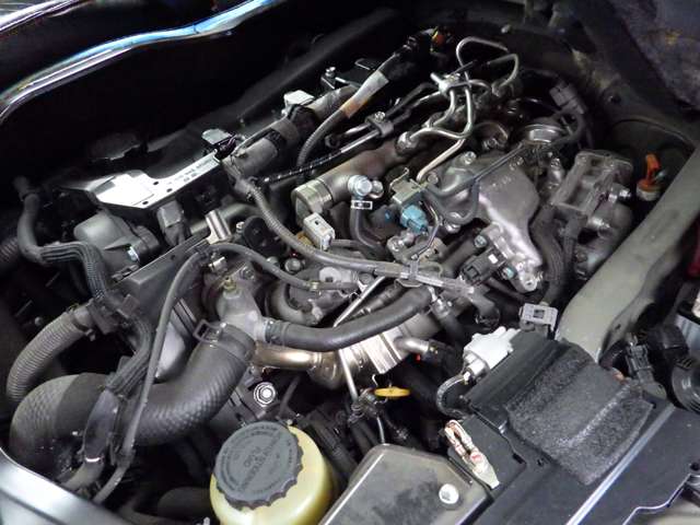 U00048183289_36_003.jpg