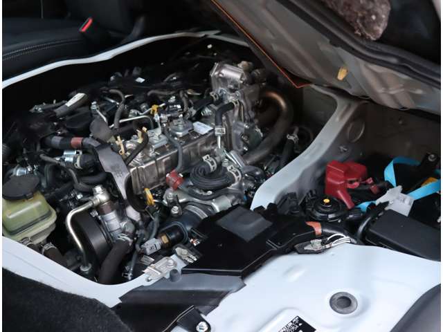 U00048570642_73_001.jpg