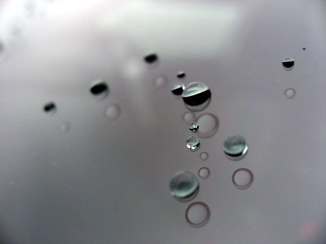 U00048549938_25_001.jpg