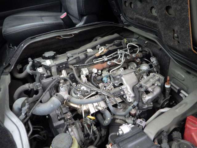 U00048468979_38_003.jpg