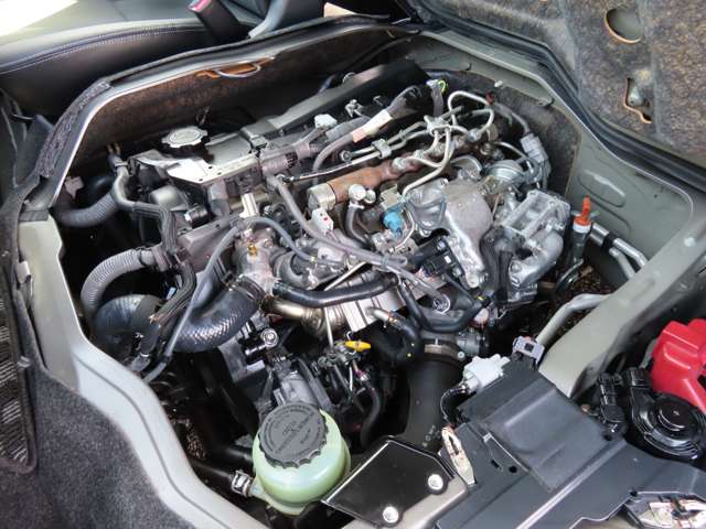 U00048507247_81_001.jpg