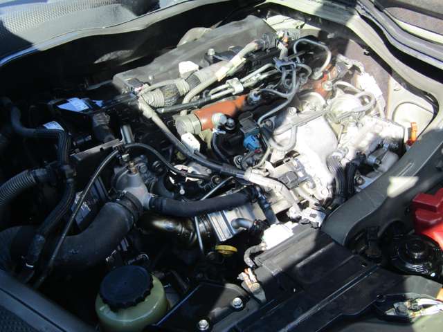 U00040921864_40_002.jpg