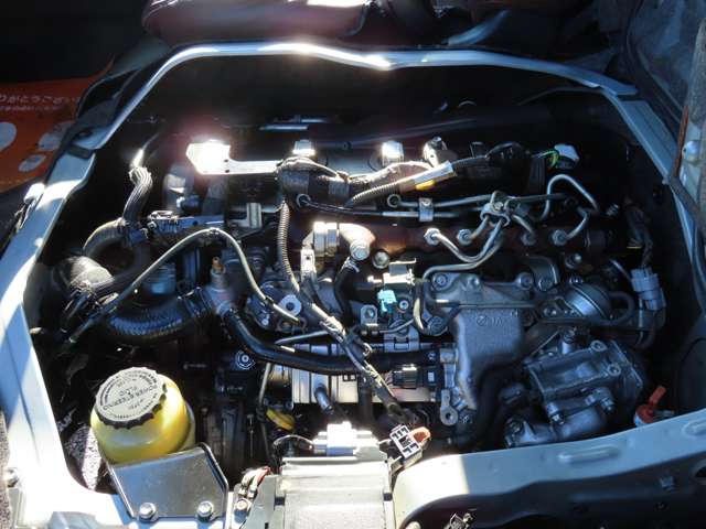 U00047273501_55_001.jpg