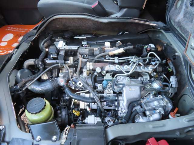 U00047273085_56_001.jpg