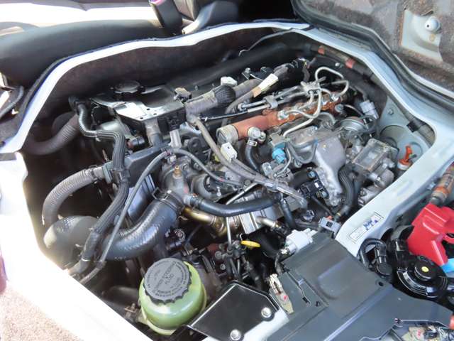 U00048541026_76_001.jpg
