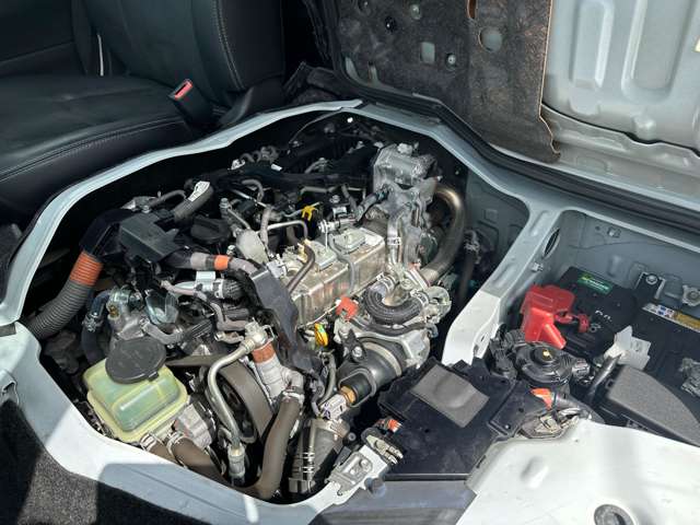 U00048469179_42_001.jpg