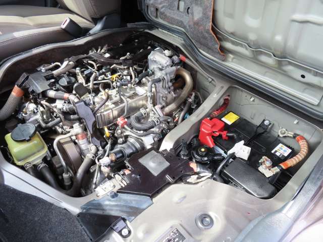 U00048348044_64_001.jpg