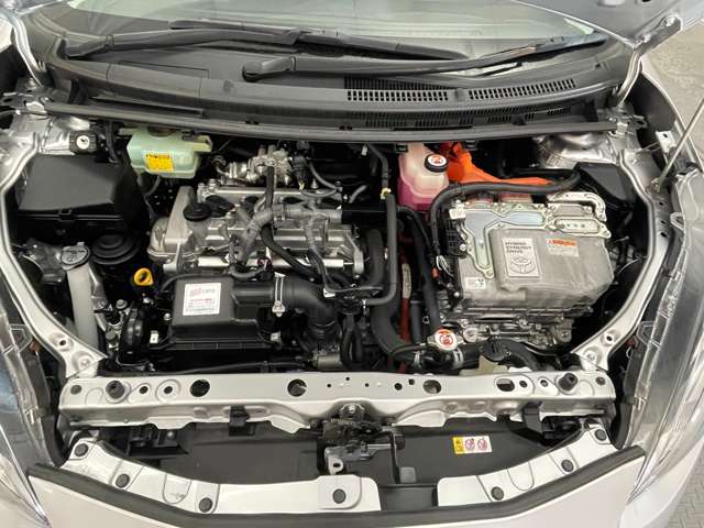 U00047849213_45_001.jpg