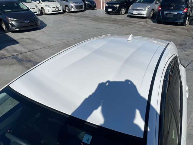 U00048432806_56_001.jpg
