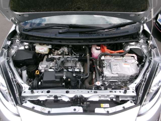 U00048198560_34_001.jpg