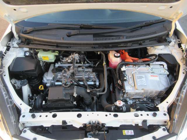 U00048112861_48_001.jpg