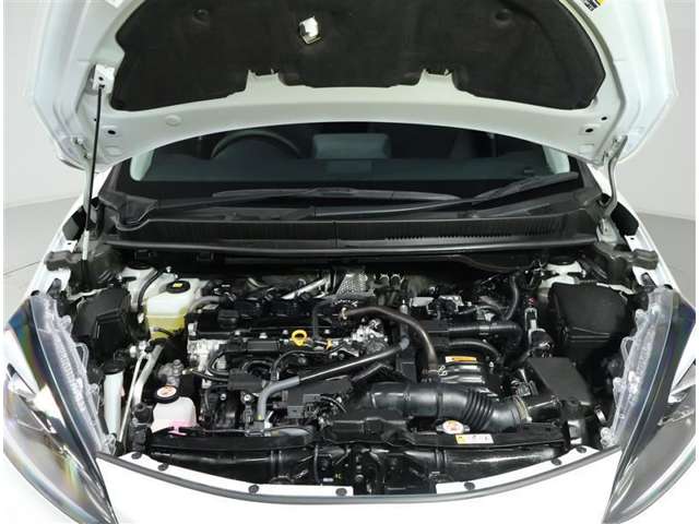 U00048153250_11_001.jpg