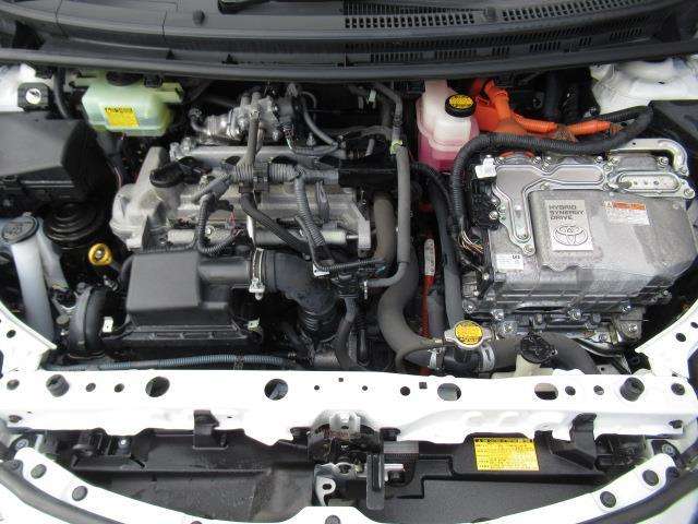 U00048464077_39_002.jpg
