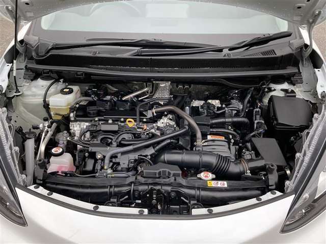 U00048520387_19_001.jpg