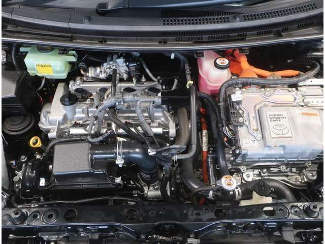 U00048217394_19_001.jpg