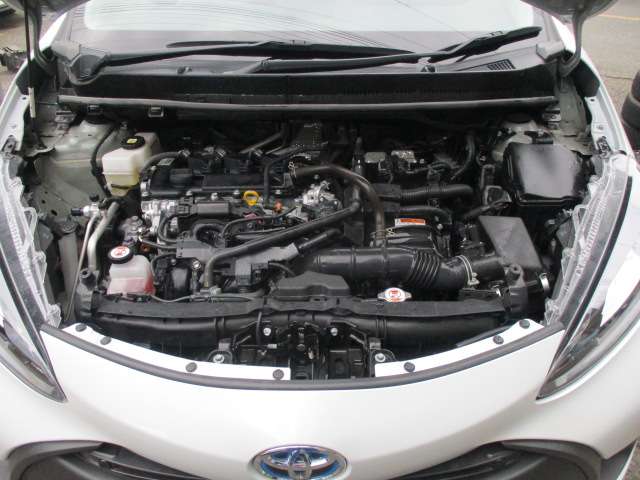 U00048268092_10_001.jpg