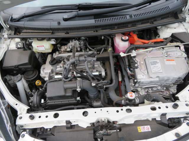 U00046938880_62_001.jpg