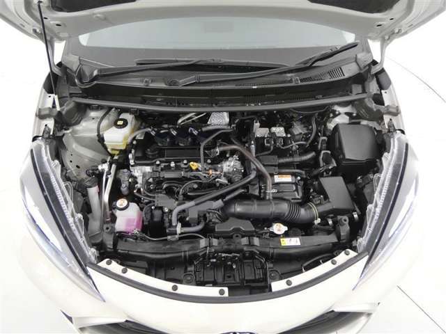 U00048520681_19_003.jpg