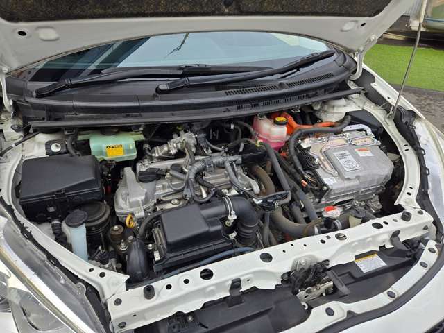 U00047870149_38_001.jpg